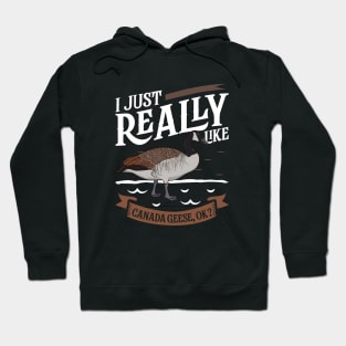 I just really like Canada Geese Hoodie